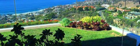 Landscape Company Orange County | My Botanica